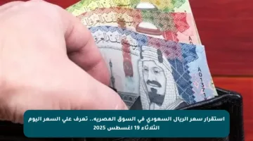 استقرار سعر الريال السعودي في السوق المصرية.. تعرف على السعر اليوم الثلاثاء 19 أغسطس 2025